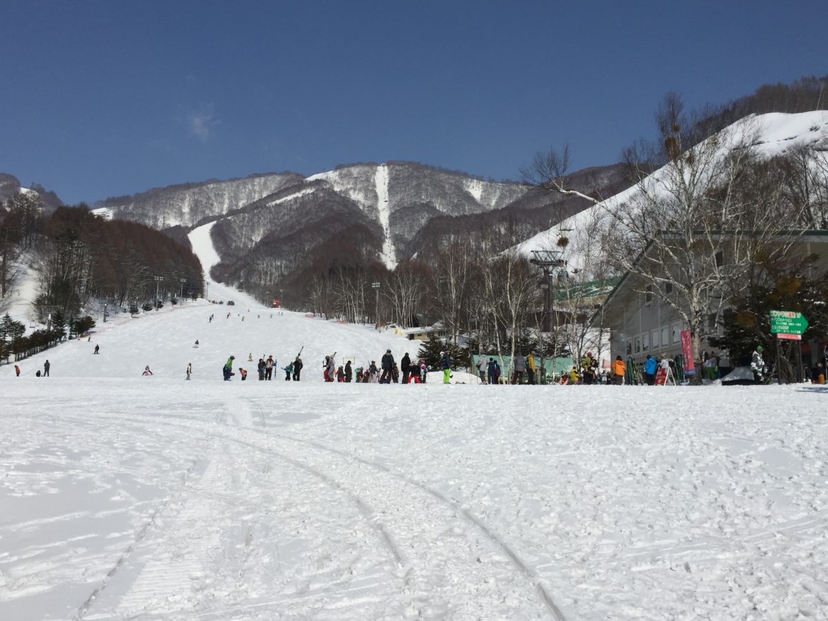 2017年度 3月ツアー行事レポート