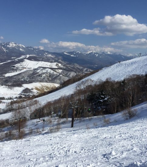 2017年度 準指検定会　応援ツアー行事レポート